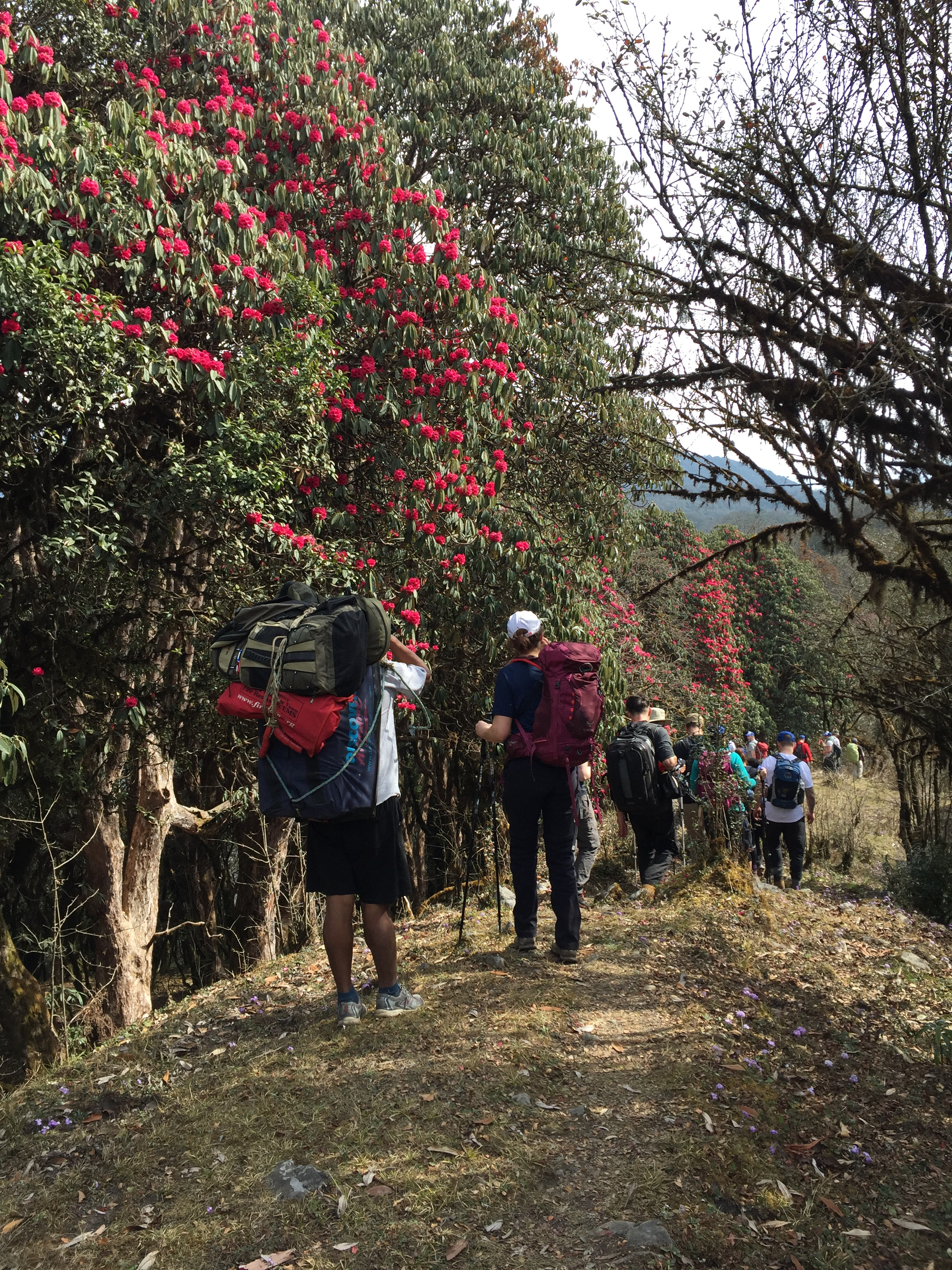 Sikles Homestay Trek